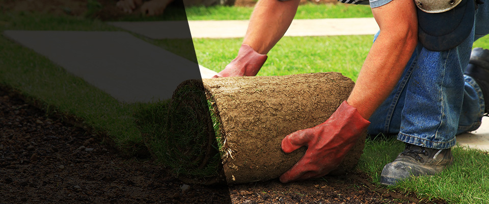 Colton Landscapers